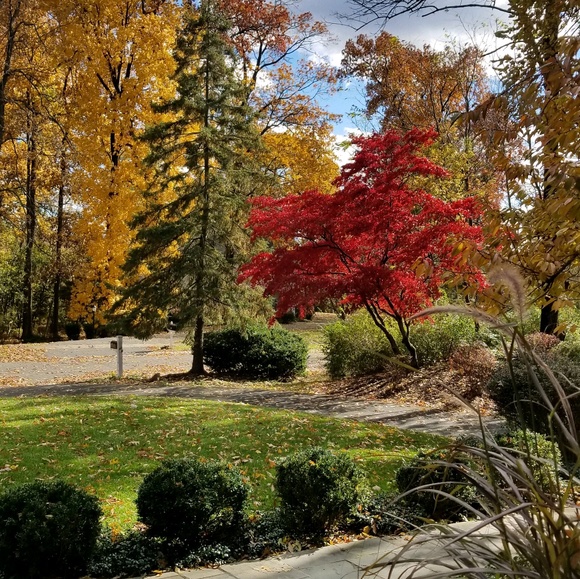 Meet your Posher, Ana - Picture 1 of 1